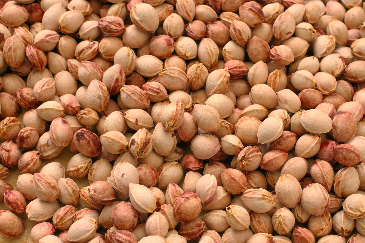 Kirschkerne in Premium-Qualität, 1 kg