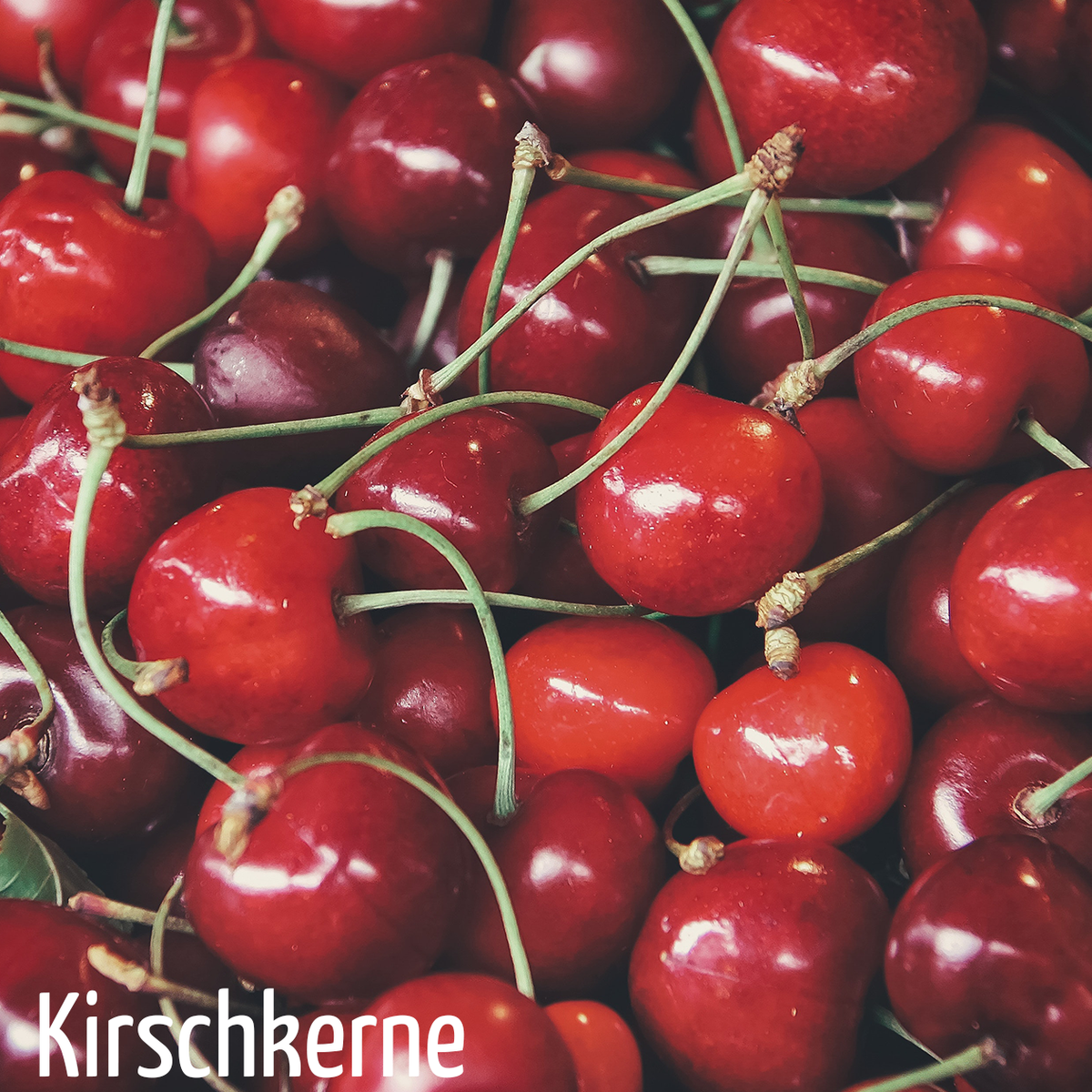 Kirschkerne in Premium-Qualität, 10 kg